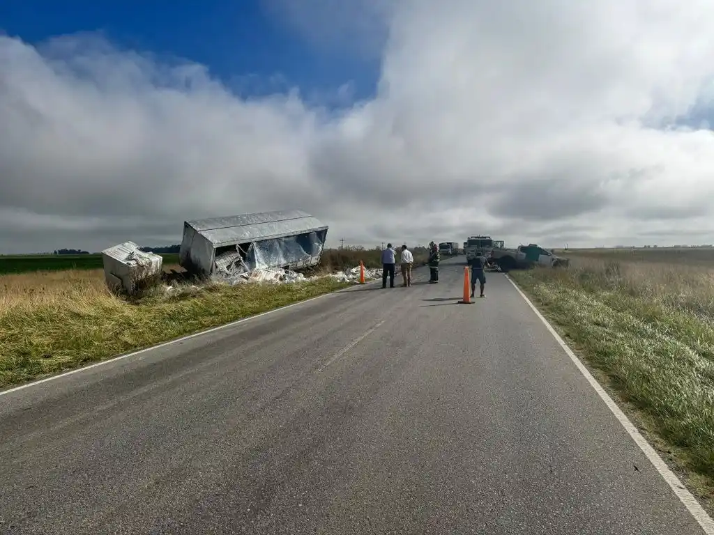 El camión quedó al costado de la ruta