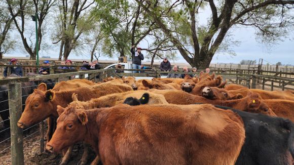 Volumen, manos y valores en San Cayetano