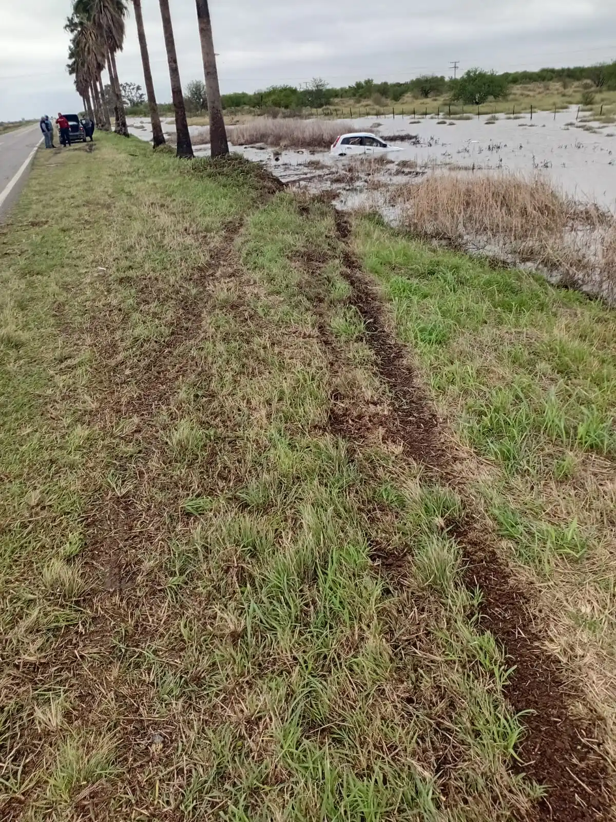 DESPISTÓ UN AUTO EN EL INGRESO A LA VERDE - 1