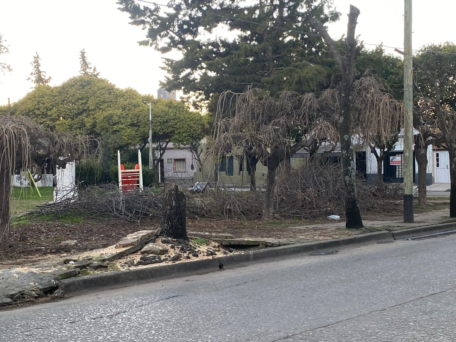 “¿Es decoración?”: queja de vecinos por el abandono en la plazoleta