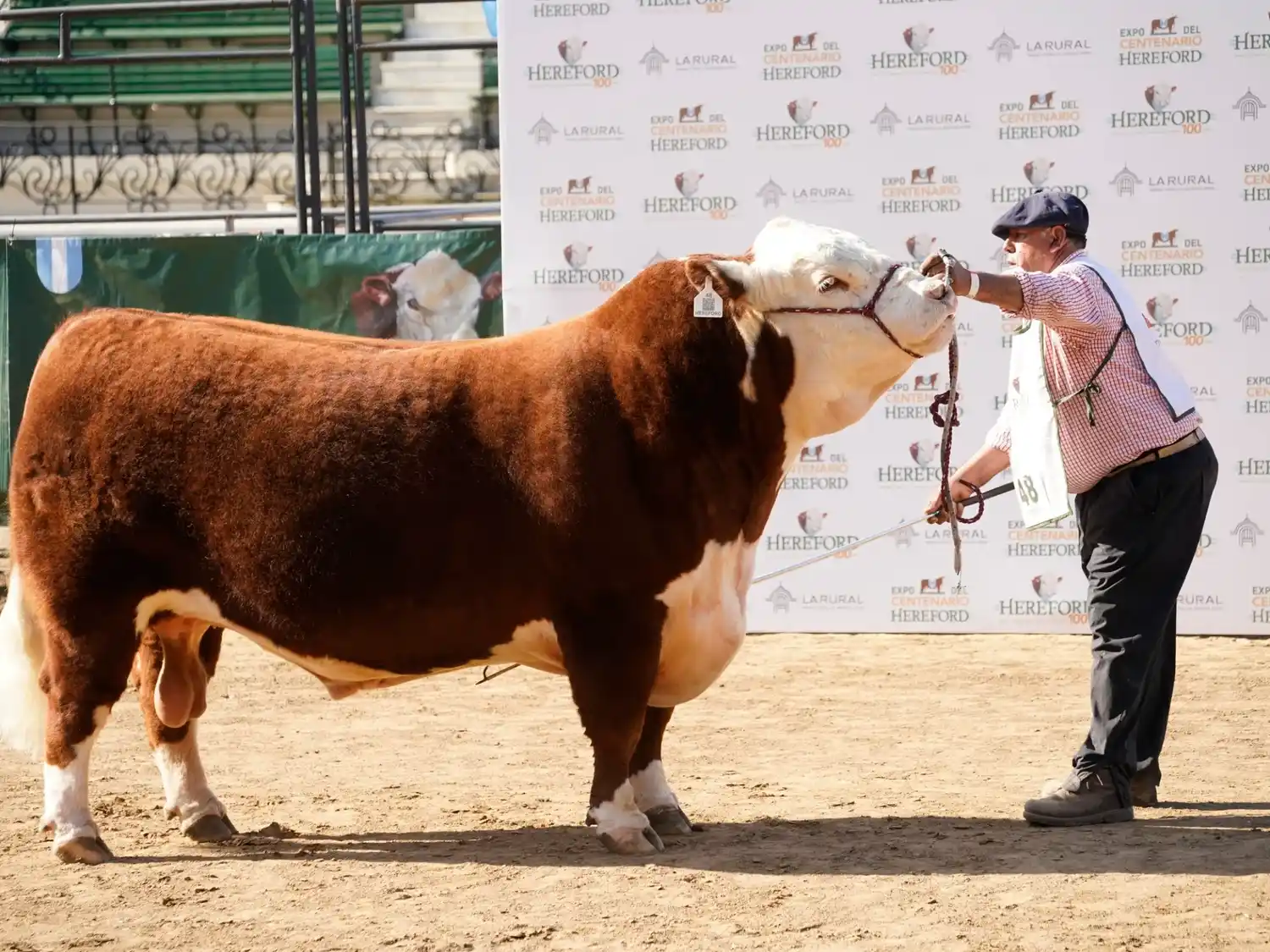 La Rural 2026: la 138° Exposición de Ganadería, Agricultura e Industria abre sus puertas en Palermo