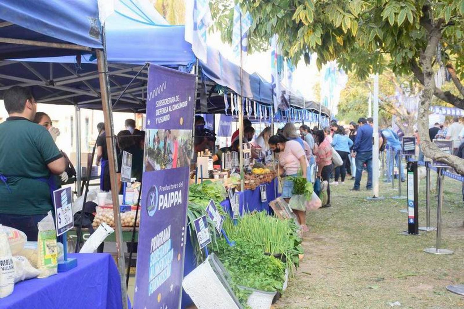 Soberanía alimentaria pondrá a la venta 
sandías desde $1.000 y poroto fresco a $400