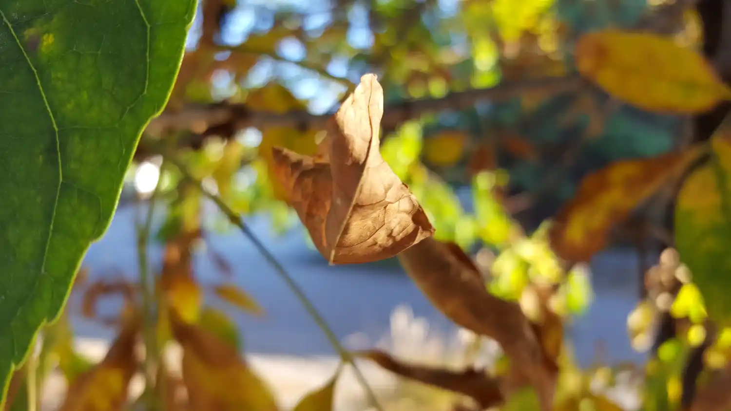 Arrancó julio y se esperan temperaturas mínimas entre -2°c y 4°c