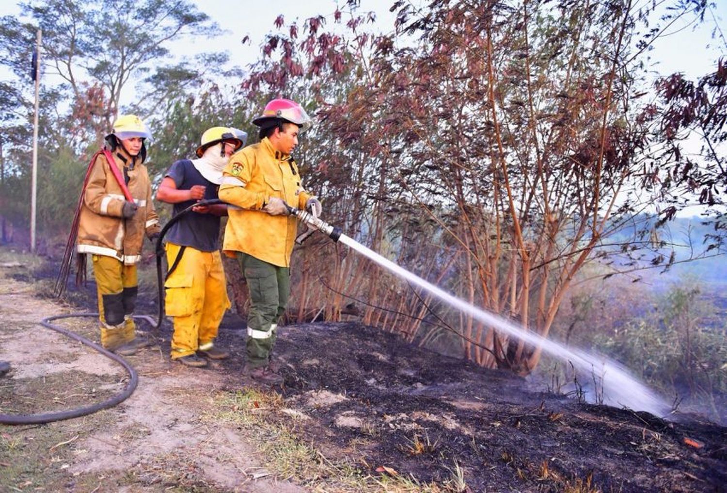 Quema de pastizales: Bomberos formularon recomendaciones