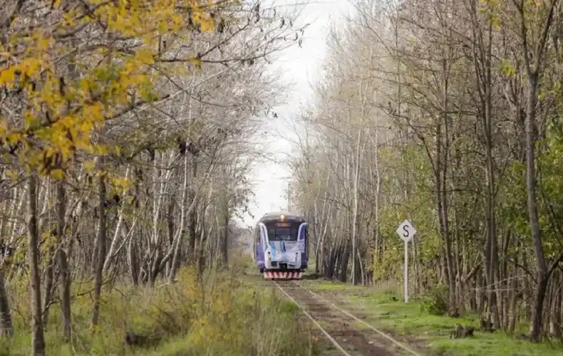 Tren turístico Mercedes –  Tomas Jofre: Cómo es el viaje que ya sumó 2 mil pasajeros en un mes