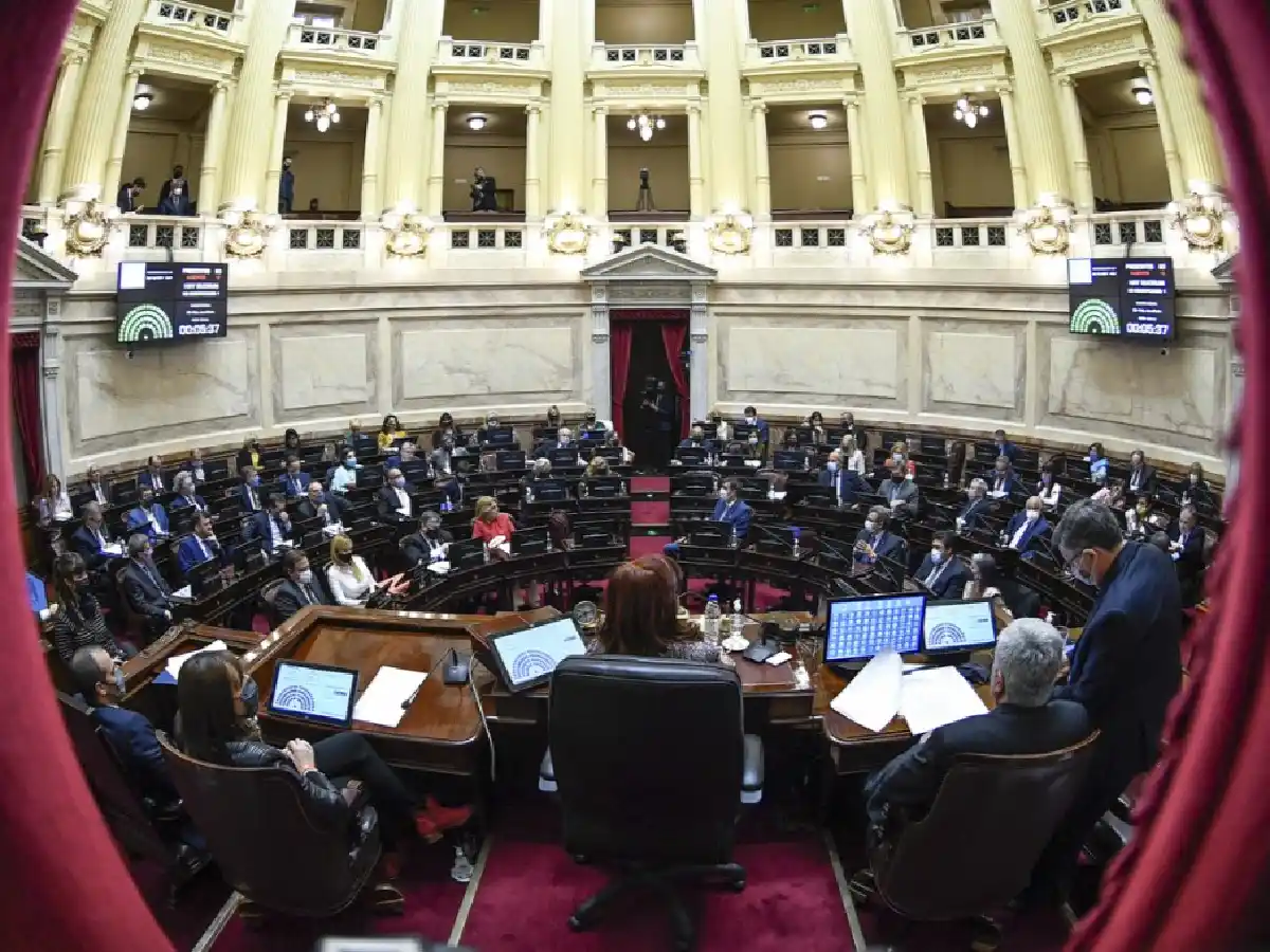 "Parecen gallinas": la burla de Cristina Kirchner a los opositores en el Senado
