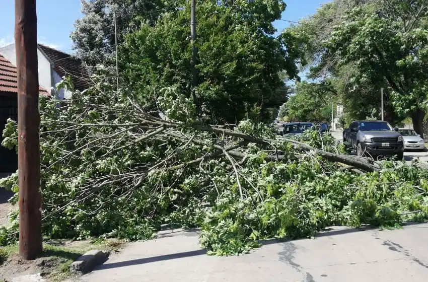 El viento se hizo sentir en Mar del Plata