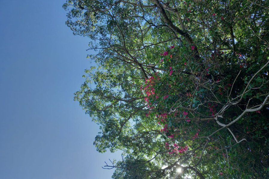 El calor no afloja en la ciudad: Así estará el clima en la jornada del domingo