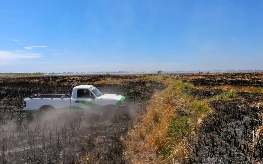 Tras siete días, buscan extinguir el fuego en la reserva de Punta Lara