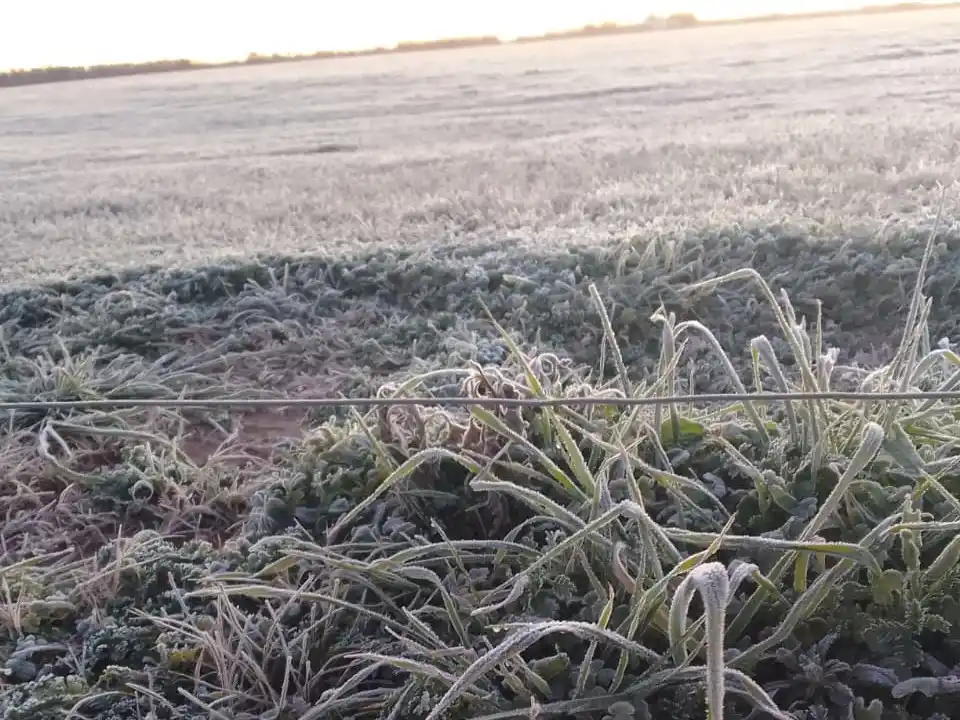 La ola polar produjo una baja importante en la temperatura de todo el país.