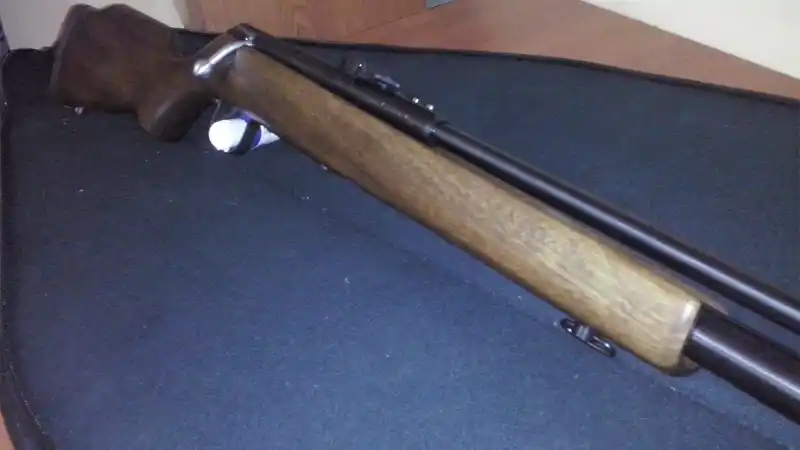 Entre Ríos: Mató al perro de un vecino con un aire comprimido