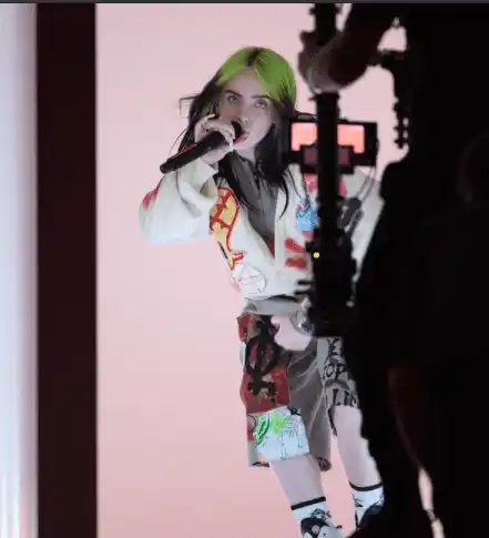 Billie Eilish también actuó en los AMAs. Foto: Instagram