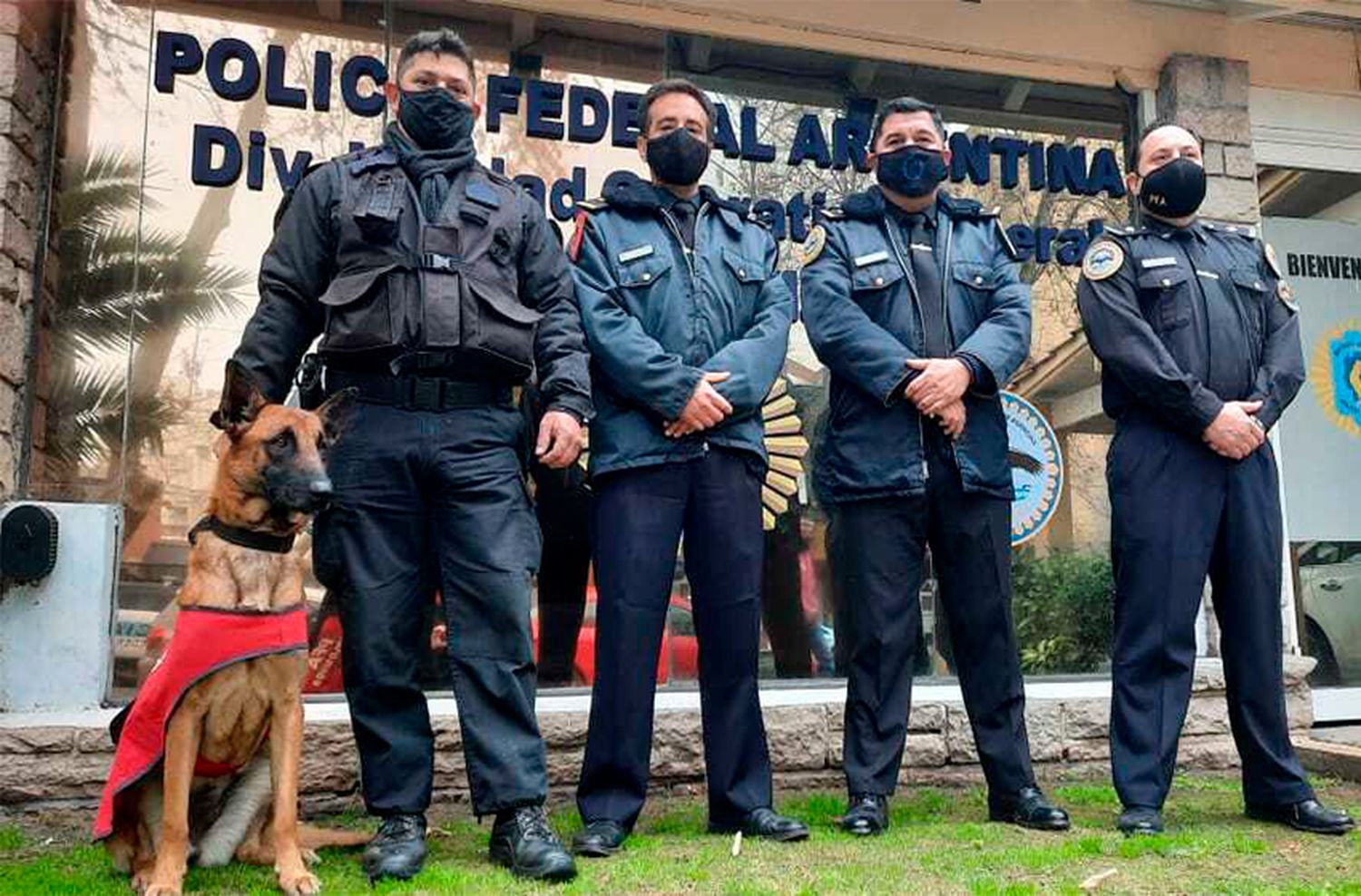 "Afrika", el perro designado por Policía Federal al aeropuerto de Mar del Plata