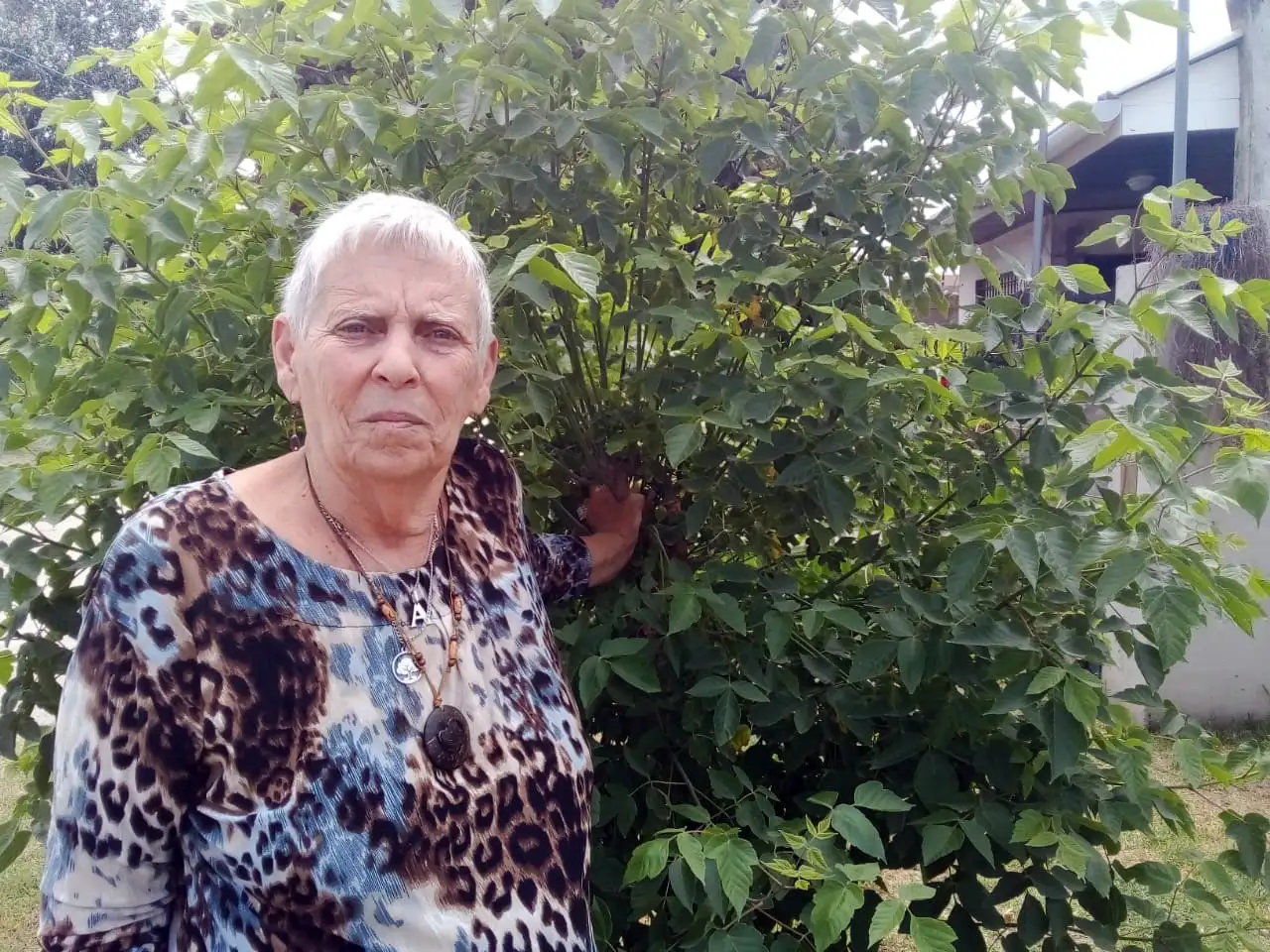 “Amé la docencia”. Con vocación de servicio, dijo Aída Chervet al repasar su trayectoria