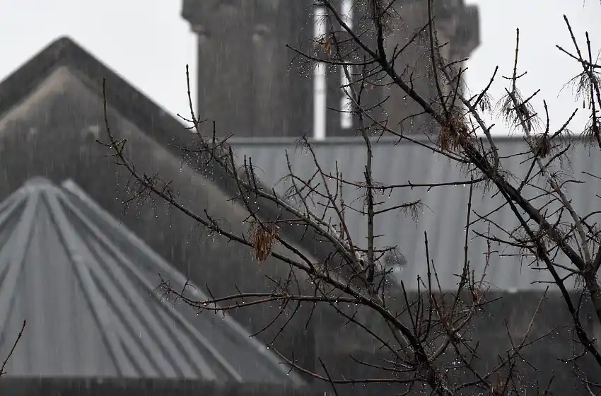 Franco Trovato Fuoco