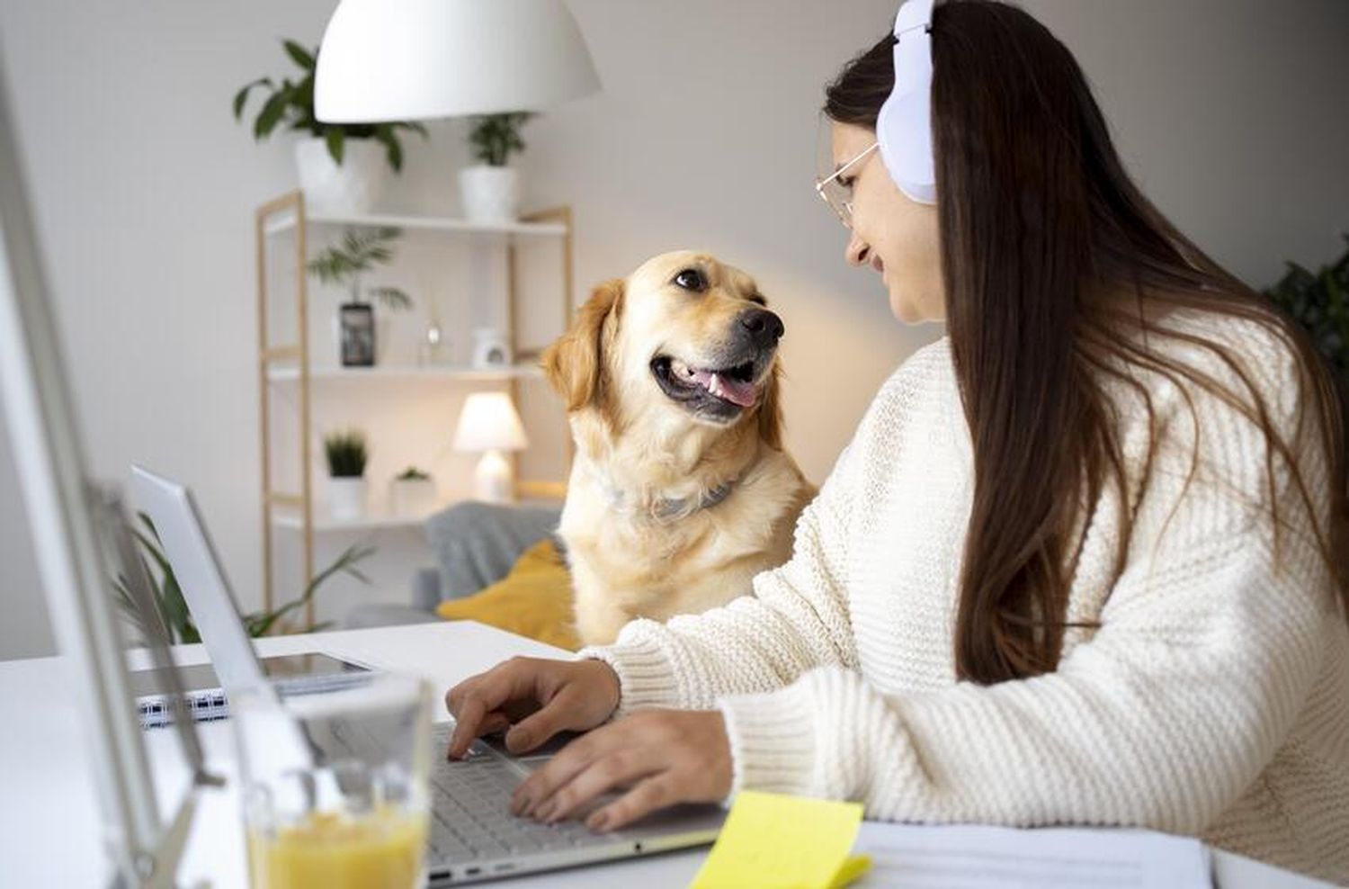 ¿Cuáles son los beneficios de llevar a las mascotas al trabajo?