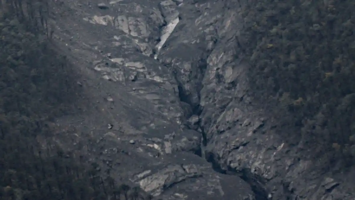 Alarma en la India: un río se vuelve negro y mata a miles de peces