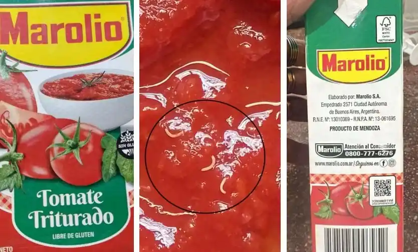 ANMAT advirtió sobre presencia de gusanos en un lote de tomate triturado