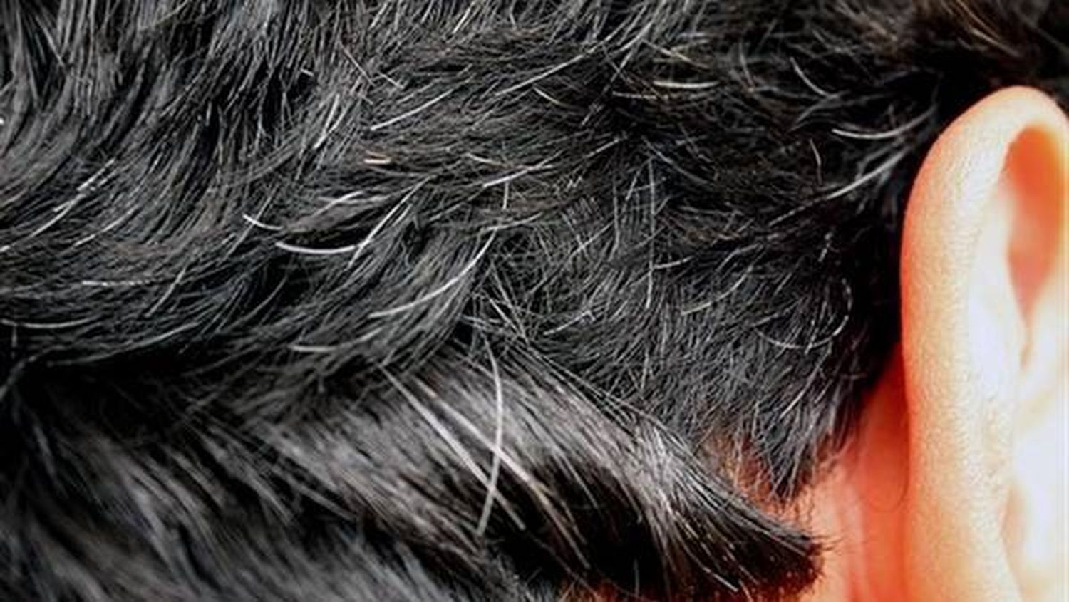 Guerra a las canas: qué alimentos las combaten