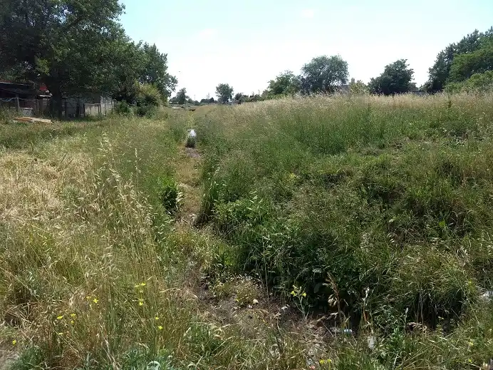 Pastizales en Villa Italia