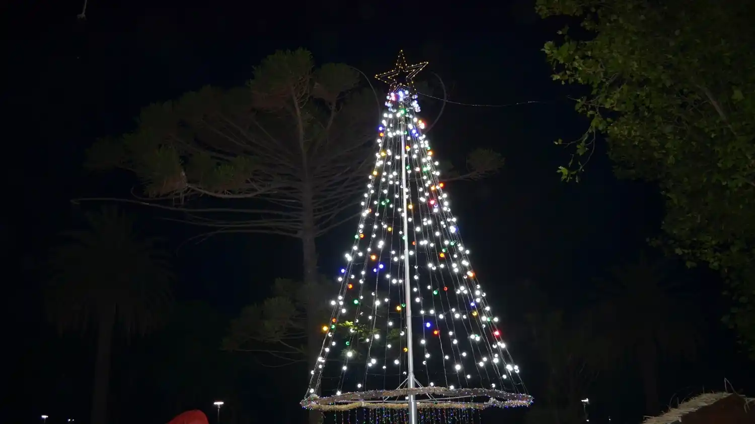 Quequén encendió su árbol de Navidad
