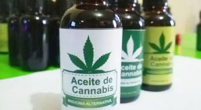 Presentaran hoy  un proyecto para adherir al uso medicinal del cannabis