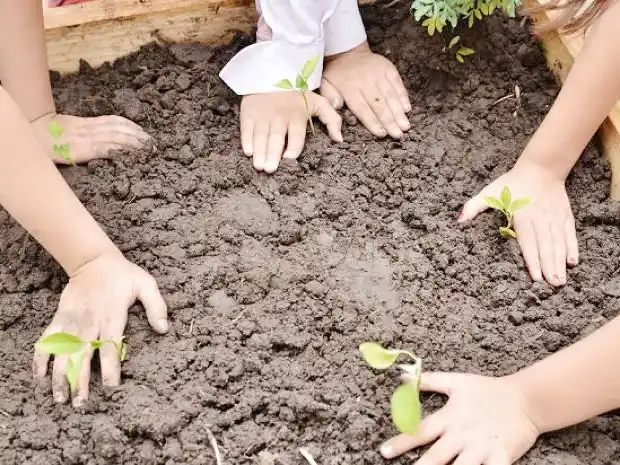 Desarrollo productivo y la fundación huerta niño impulsan el programa “Huerta Escuela”