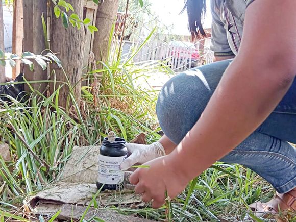 La prevención y abordaje del dengue demanda un exhaustivo trabajo territorial en la provincia