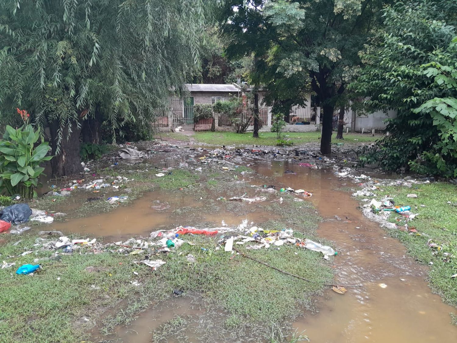 Temporal de lluvia: trabajo intenso por deslizamientos en las barrancas, anegamientos y asistencia