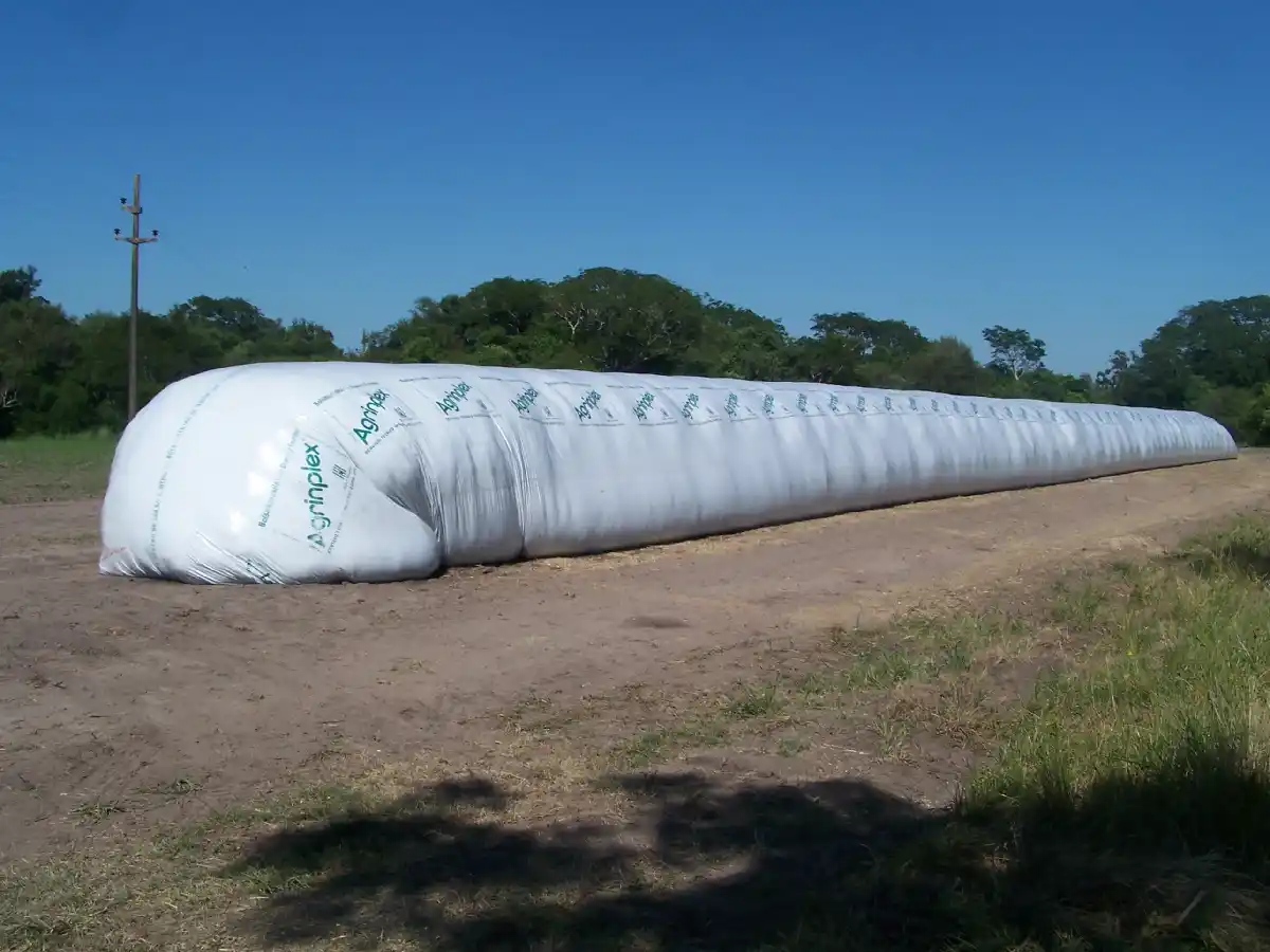 Santa Clara de Saguier: robaron 10 toneladas de soja de un silobolsa