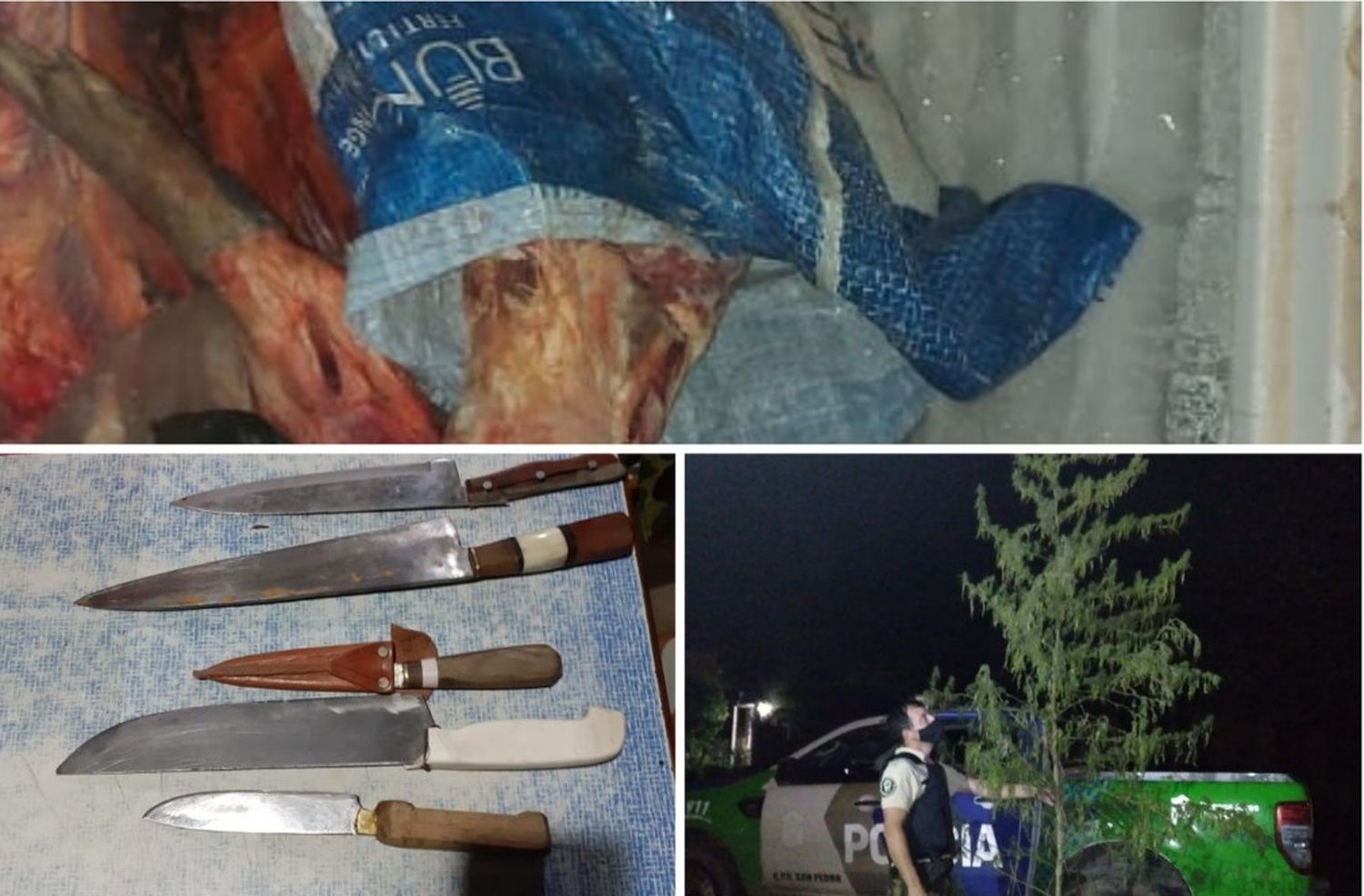 Aparecieron 70 kilos de carne de las vacas robadas a un productor en la isla