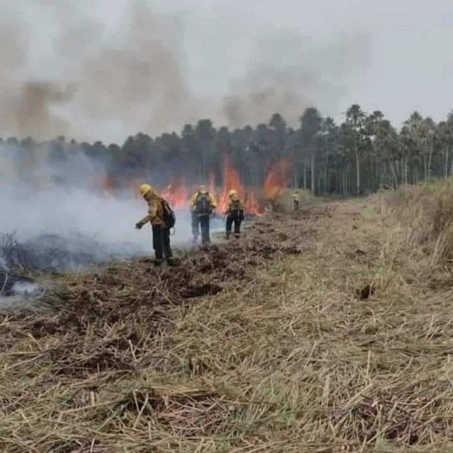 Nuevos focos de incendio en Parque Nacional Rio Pilcomayo