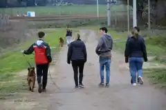 Adoptame Tandil sigue buscando familias para los perros de la ciudad