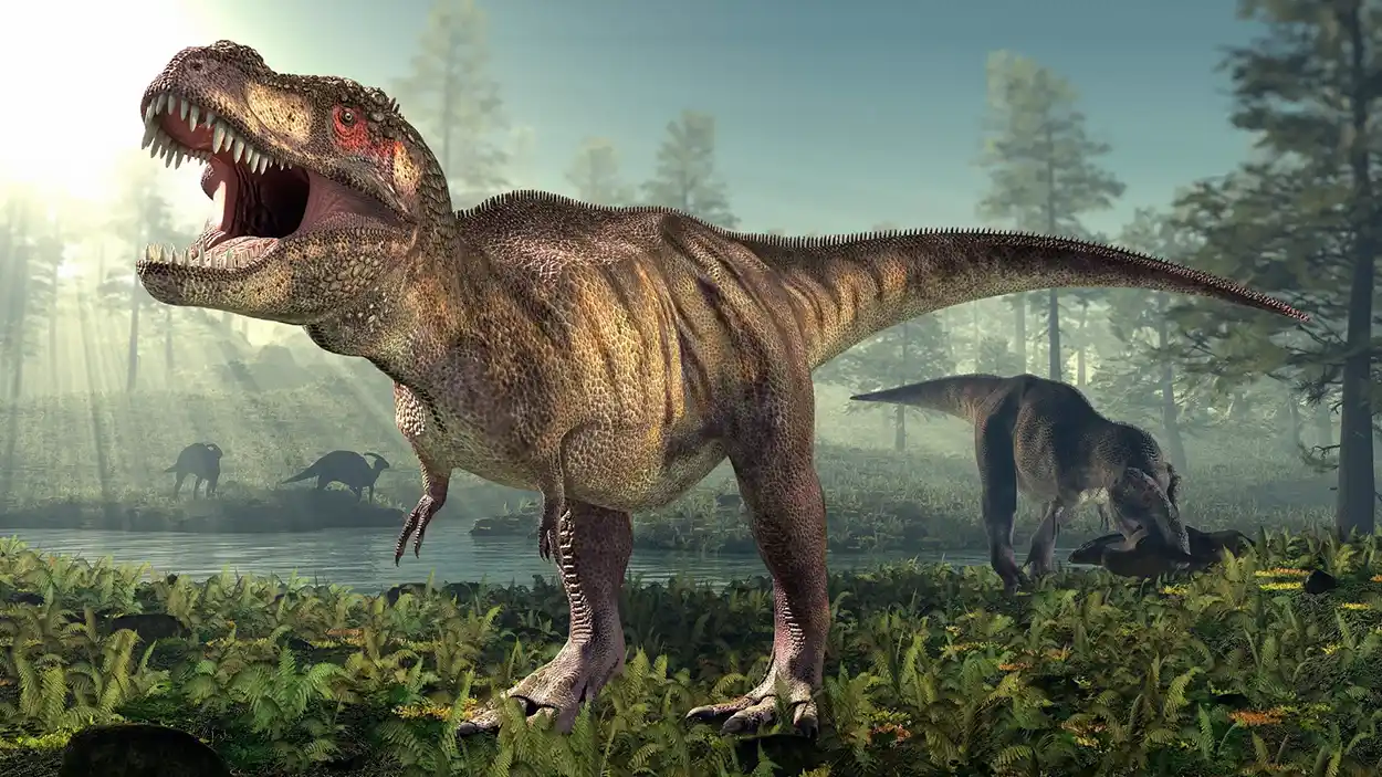 TREX2