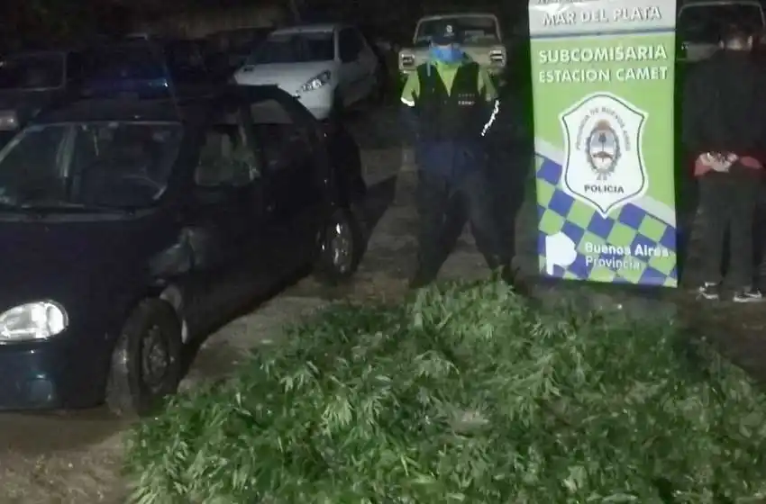 Lo atraparon con 12 kilos de marihuana en el baúl