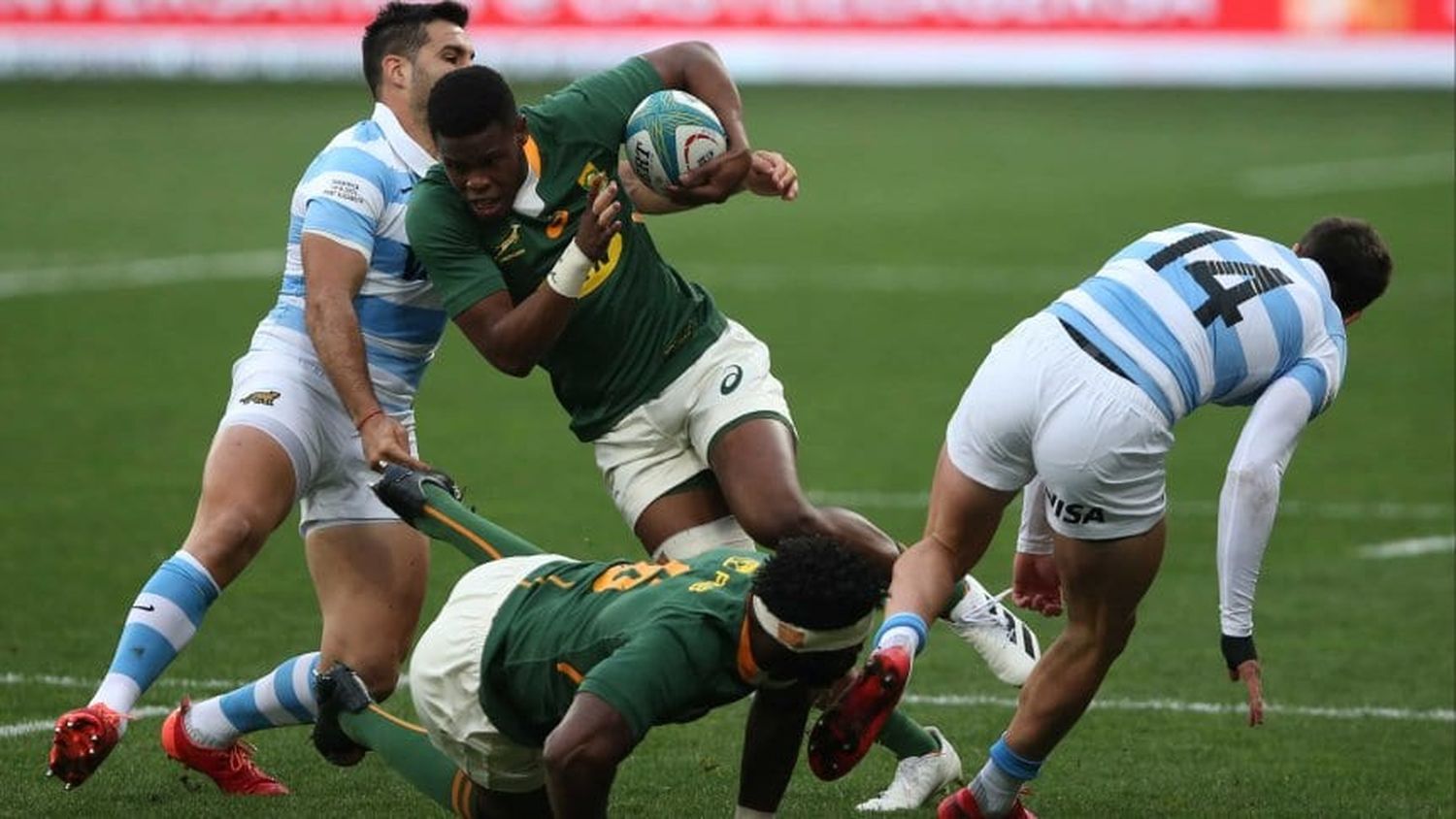 Los Pumas cayeron ante los Springboks en el Rugby Championship