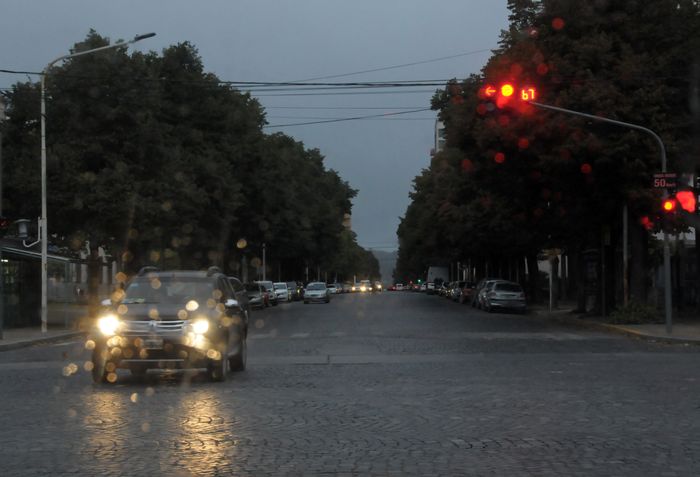 Se cayó una rama sobre su auto durante un temporal: pidió indemnización al Municipio