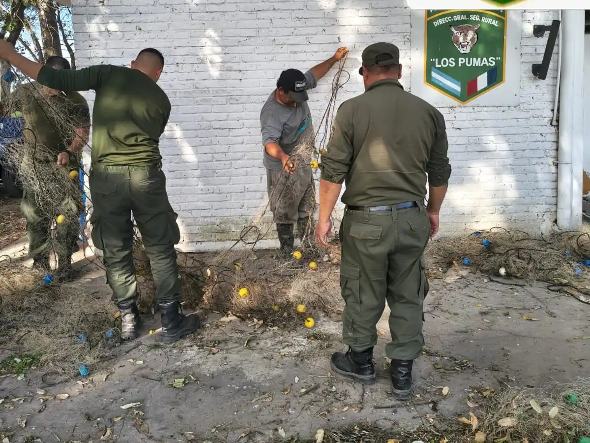Los Pumas recuperaron cinco redes de pesca robadas en zona de islas