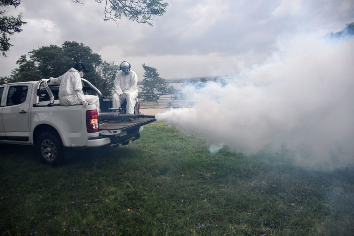 Refuerzan tareas de fumigación y desmalezado en espacios verdes de Rosario