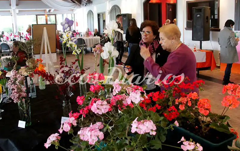 Anotan para el concurso de Jardines del Garden Club