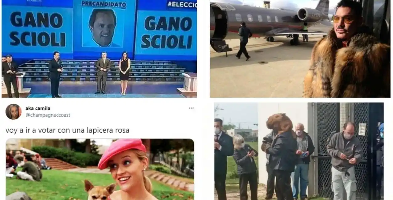 Los mejores memes que dejan las PASO 2021