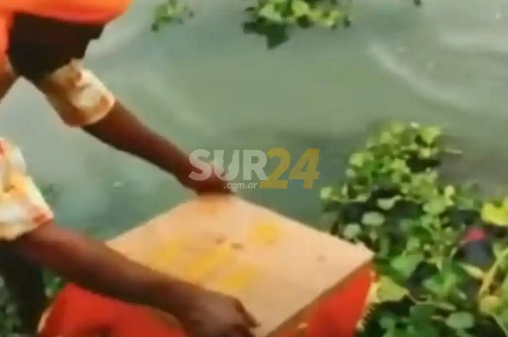 Encuentran a una beba flotando en una caja junto a la imagen de una diosa