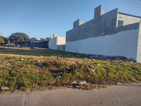 "Basura tirada por todos lados": el reclamo de una vecina que exige respuestas al Municipio