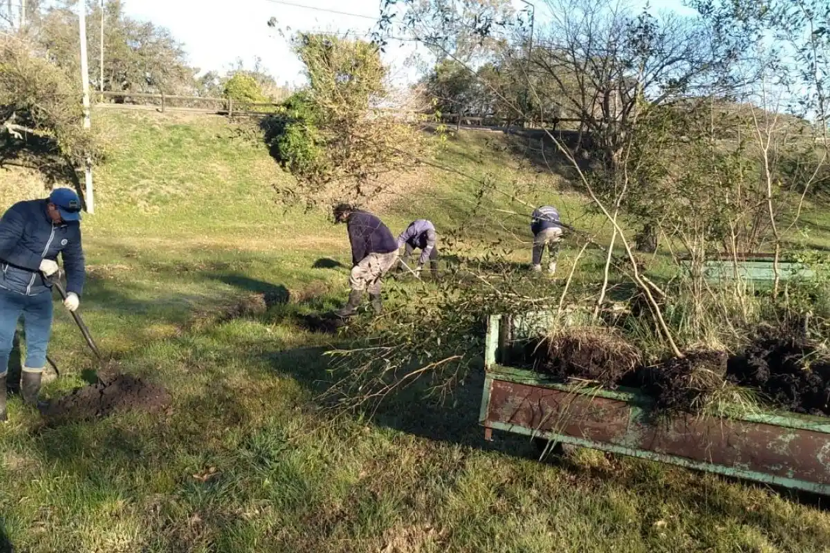 Plantaron 79 árboles nativos en el Parque Unzué
