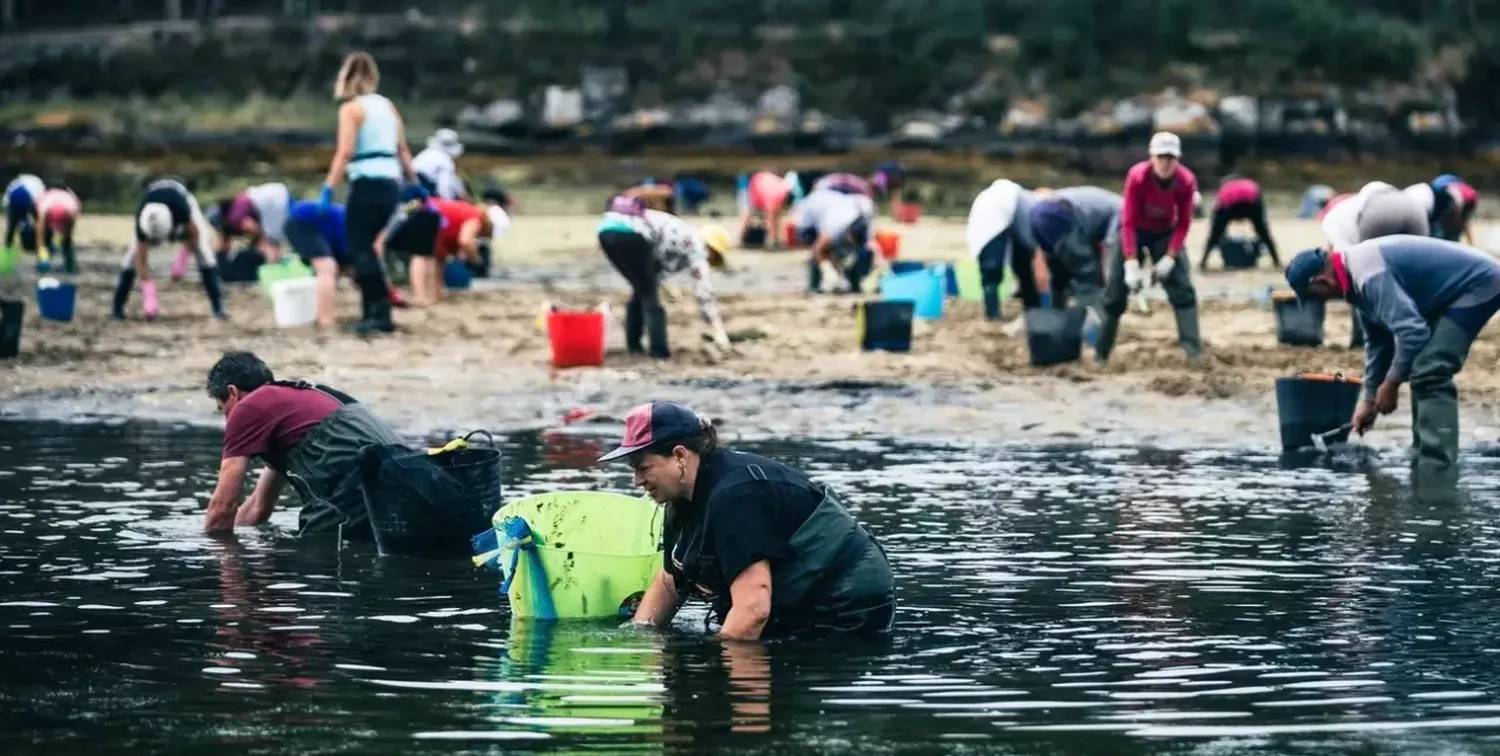 España en alerta por falta de mariscos: “El mar está dejando de producir” 