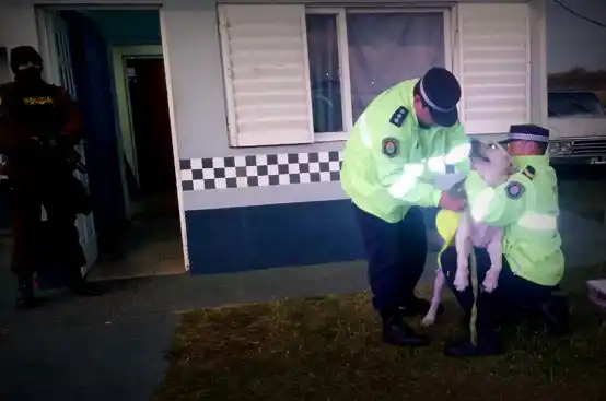 Gracias a "Moro", secuestraron seis toneladas de marihuana en la Ruta 18