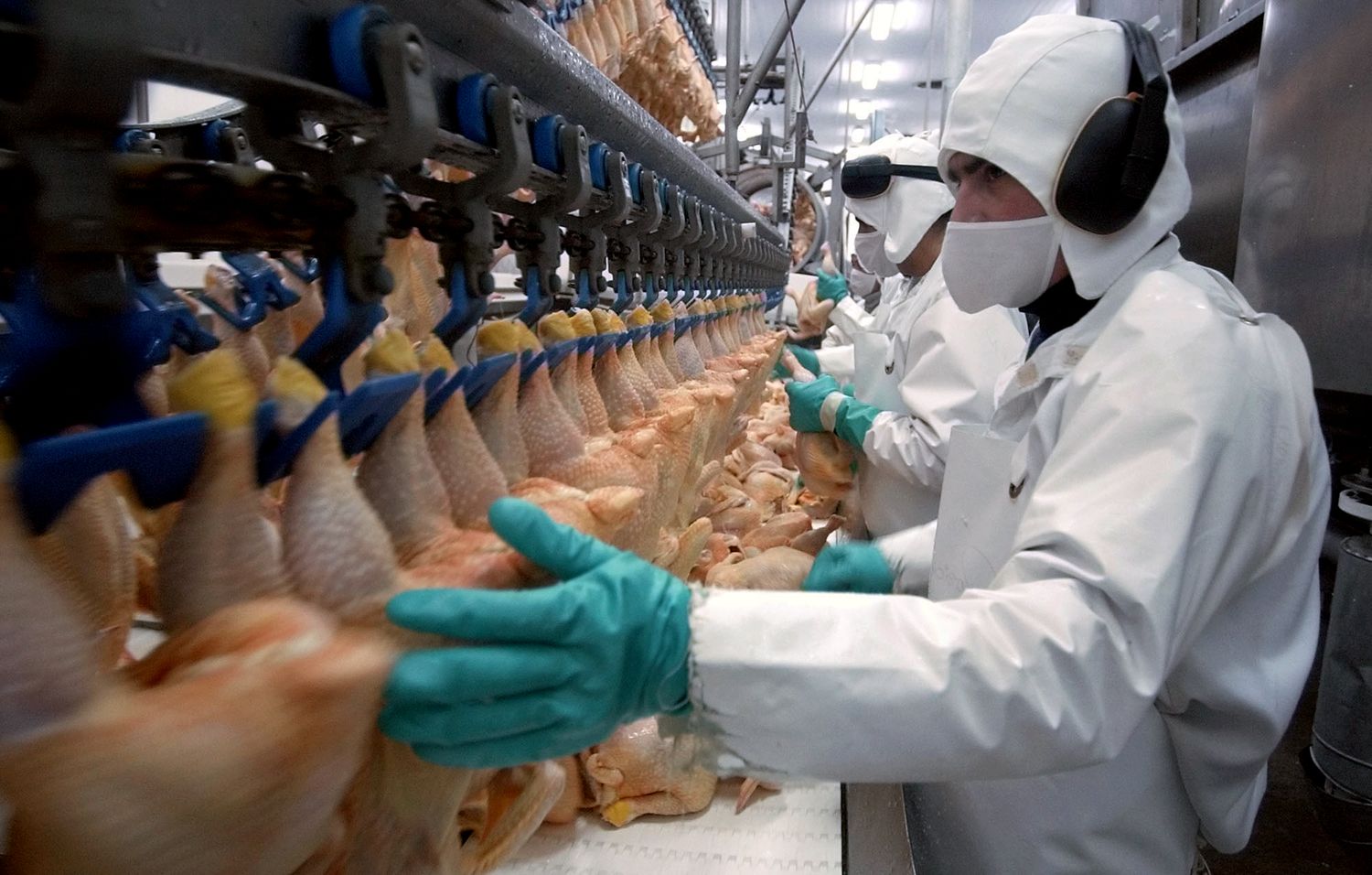 Trabajadores del sector avícola acordaron un aumento salarial del 41 %