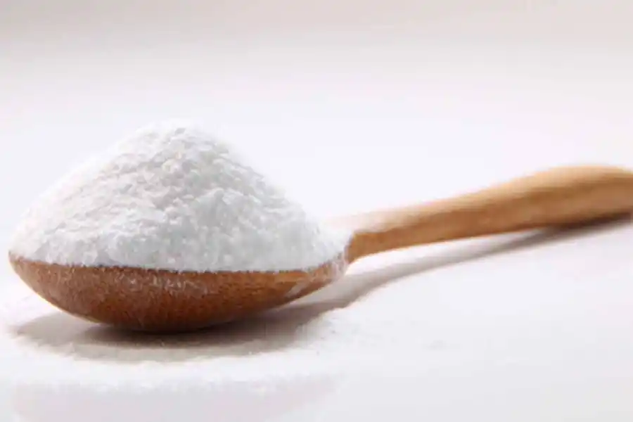 Paso a paso para sacar las manchas de humedad y eliminar la visita de hormigas