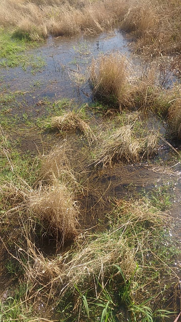 Pueblo Doyle: reclamo por falta de agua a las autoridades