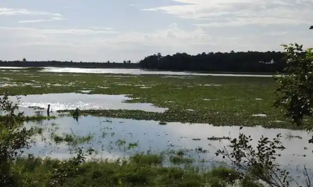 Inundaciones: Según datos oficiales, hay casi 2 millones de hectáreas bajo agua en la Provincia